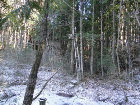 f:id:banbiyan:20170115152654j:image f:id:banbiyan:20170115152654j:image