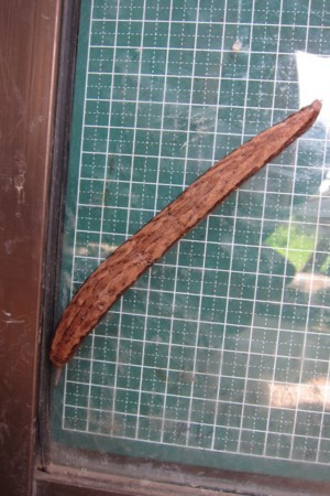 f:id:banbiyan:20170715101524j:image