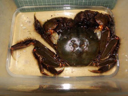 f:id:banbiyan:20180923194519j:image f:id:banbiyan:20180923194519j:image