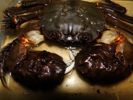 f:id:banbiyan:20180923194630j:image f:id:banbiyan:20180923194630j:image