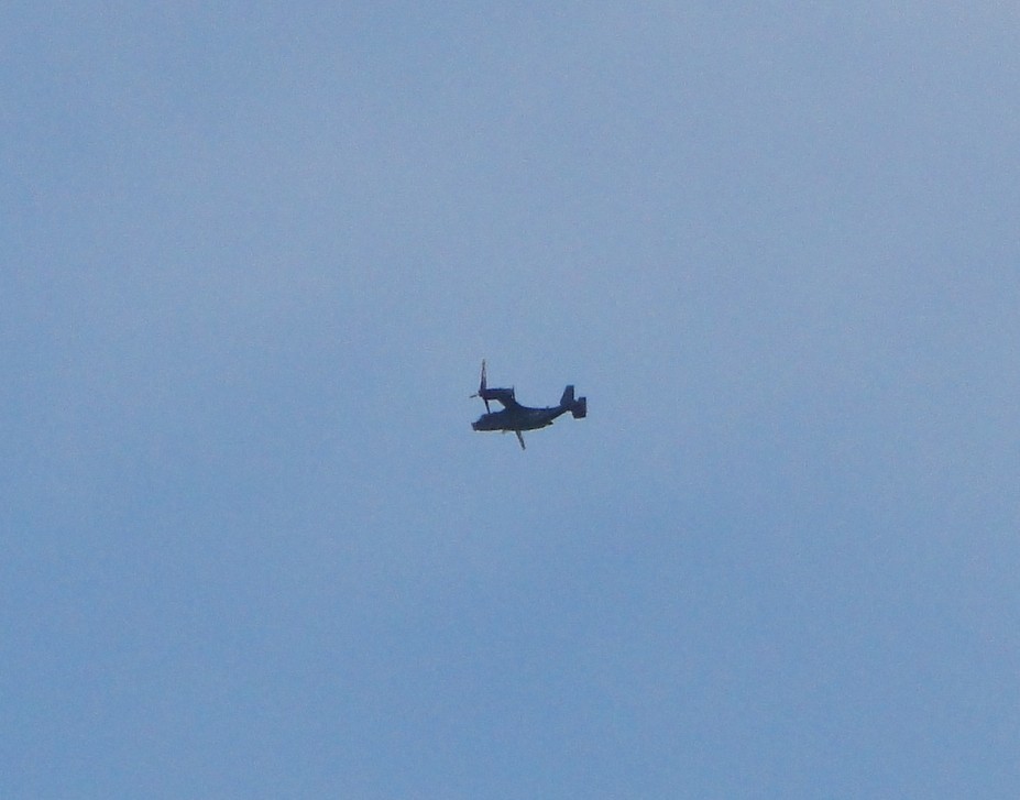 f:id:banbiyan:20190117152523j:plain