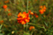 f:id:bander:20080923145102j:image:small