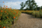 f:id:bander:20080923145255j:image:small