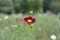 f:id:bander:20080923145814j:image:small