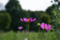 f:id:bander:20080923150001j:image:small