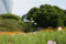 f:id:bander:20080923150015j:image:small