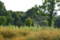 f:id:bander:20080923150909j:image:small