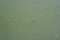 f:id:bander:20080923152259j:image:small