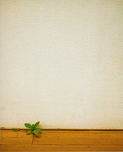 f:id:bando_alpha:20101003225245j:image