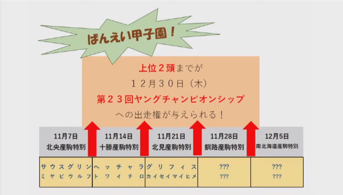 f:id:banei_neko_aruru:20211201132830p:plain