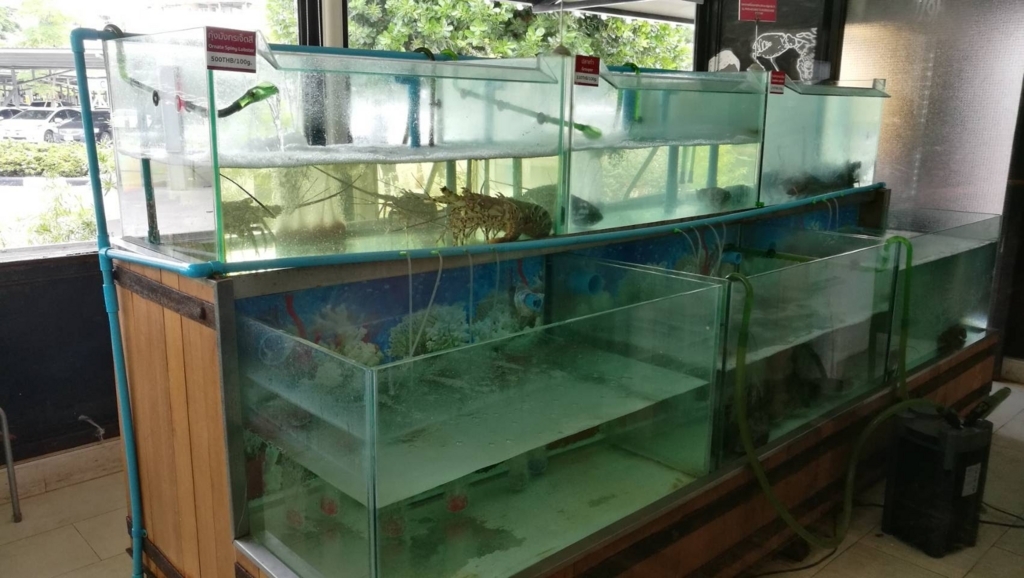 f:id:bangkoklife:20170627135417j:plain f:id:bangkoklife:20170627135417j:plain