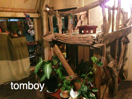 f:id:banka-an:20181127210055p:image f:id:banka-an:20181127210055p:image