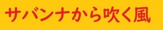 ギャラリービブリオ