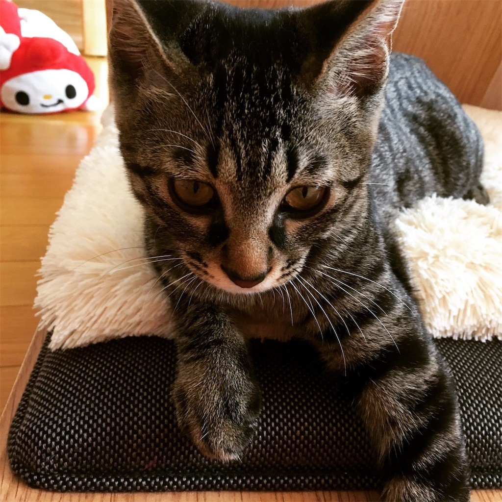 f:id:bankaz:20210722215656j:image