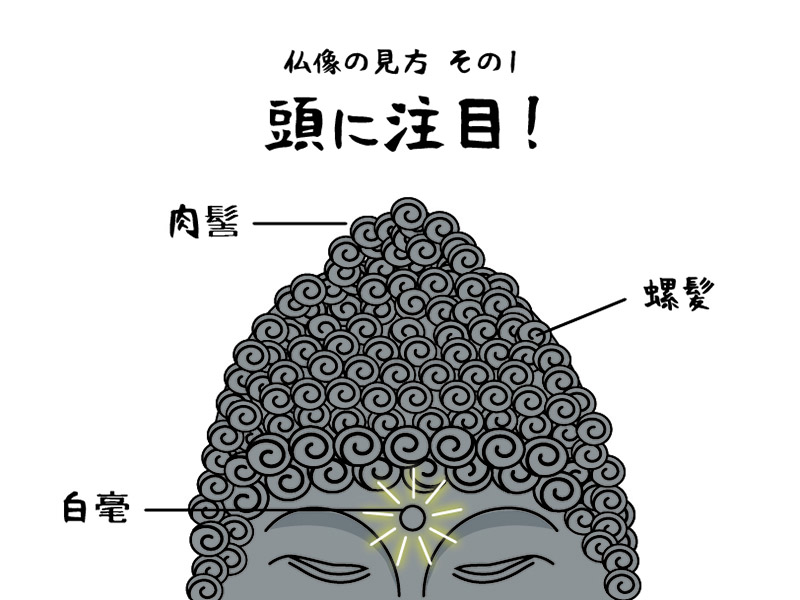 仏像の見方その1　頭に注目！