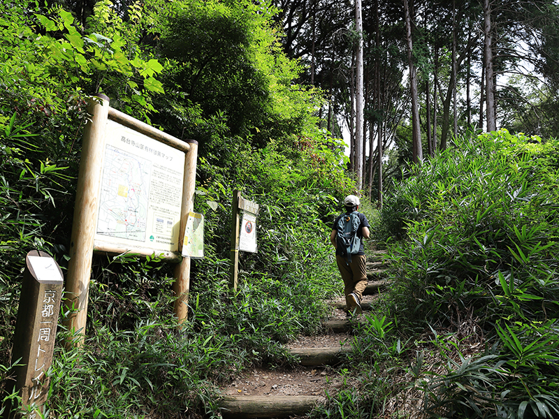 東山コース