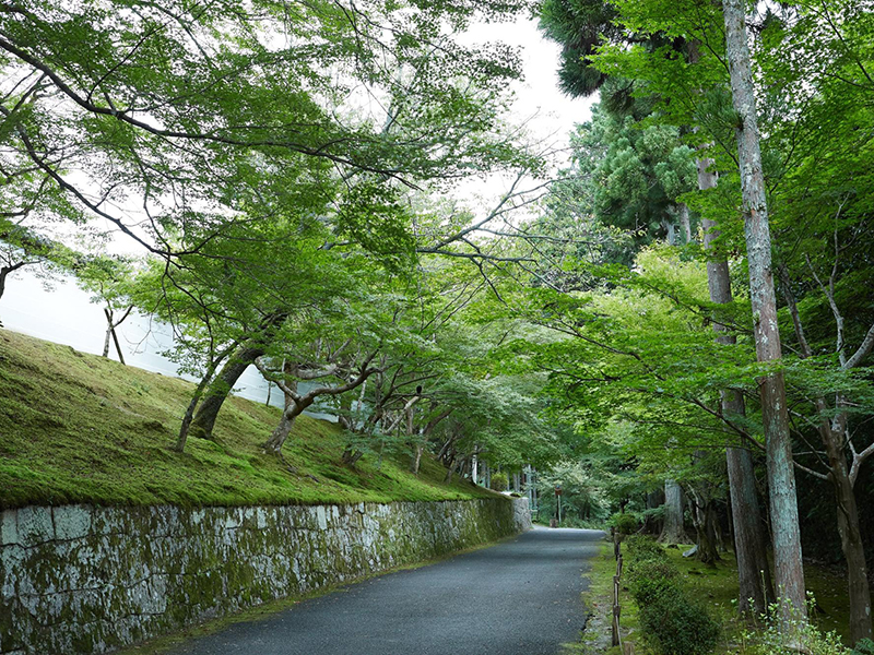 曼殊院