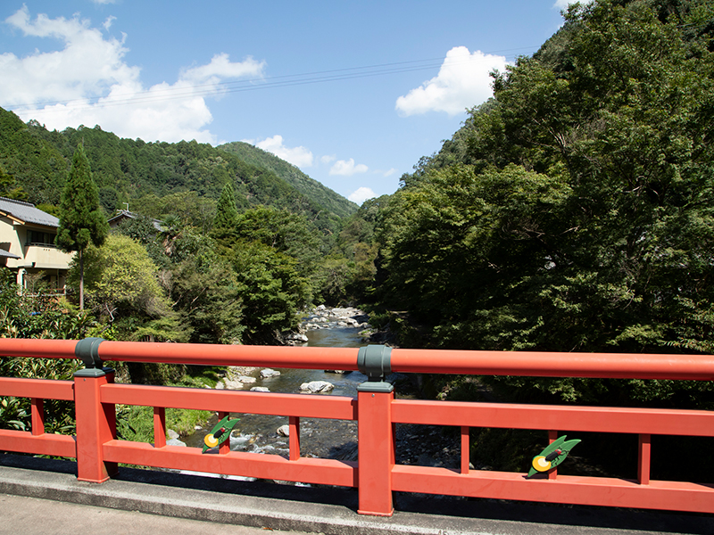 渡猿橋