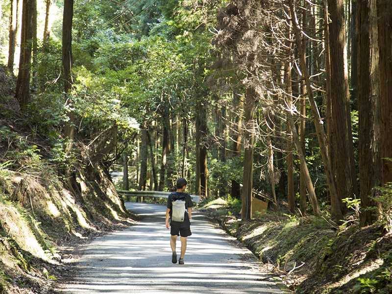 西山コース