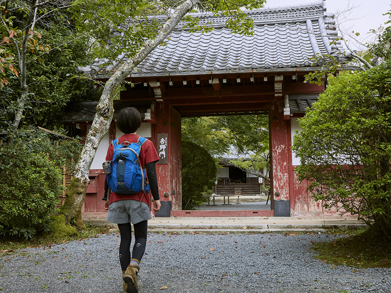 常照寺の吉野門