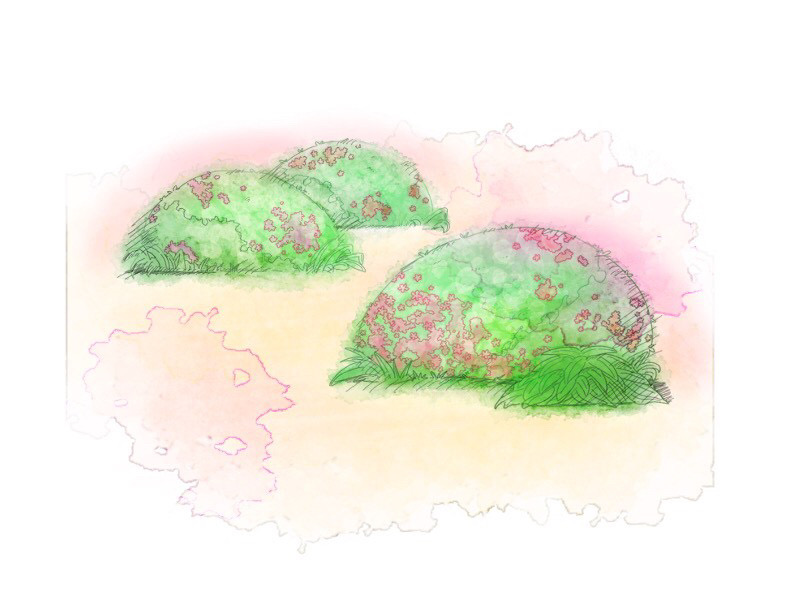 サツキの刈り込み