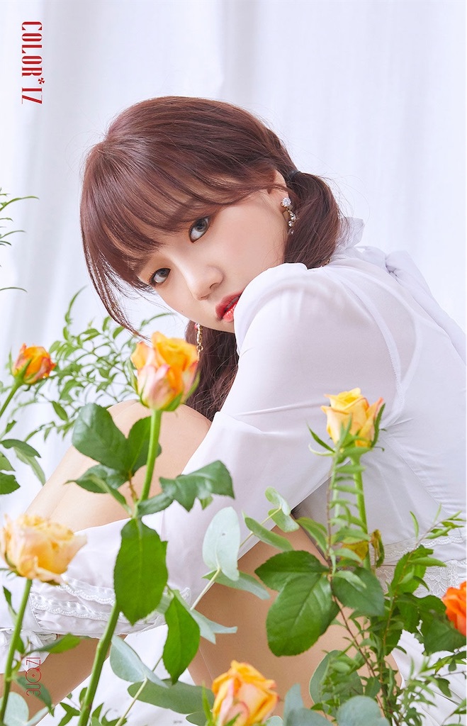 f:id:banmac:20181105001857j:image f:id:banmac:20181105001857j:image