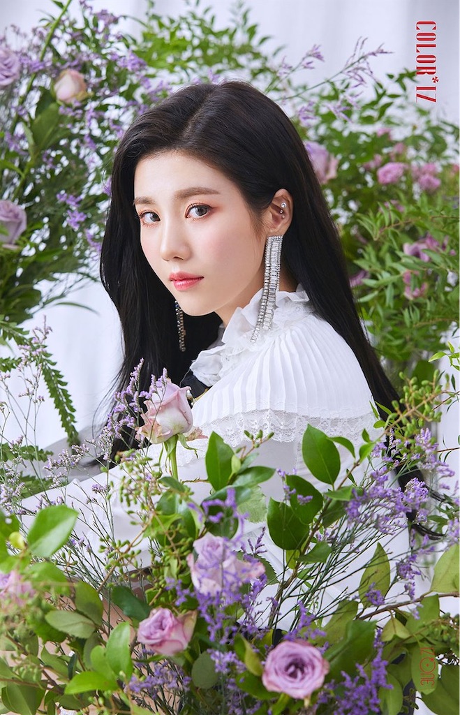 f:id:banmac:20181105002301j:image f:id:banmac:20181105002301j:image