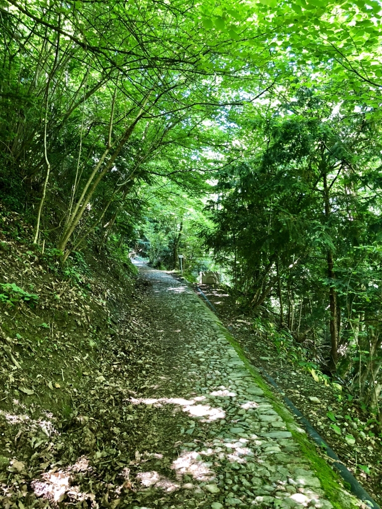 f:id:banmiko:20180625215921j:plain f:id:banmiko:20180625215921j:plain