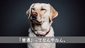 f:id:banneroflove24:20200414052359p:plain f:id:banneroflove24:20200414052359p:plain