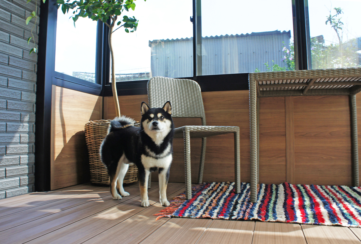 f:id:bannno-basic:20201023143708j:plain