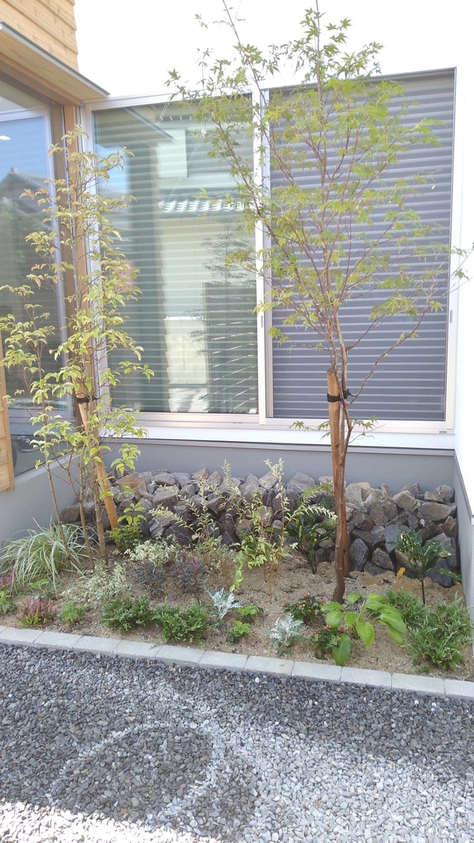 f:id:bannno-basic:20211111162305j:plain