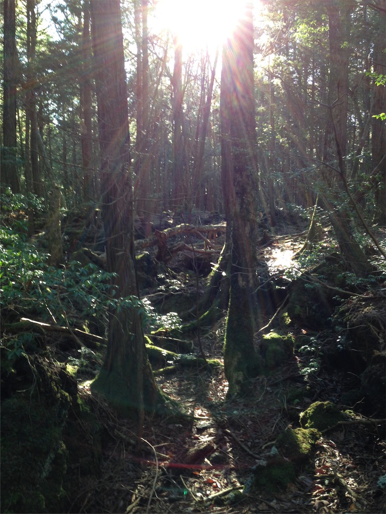 f:id:banri_flareon:20151128195630j:image f:id:banri_flareon:20151128195630j:image