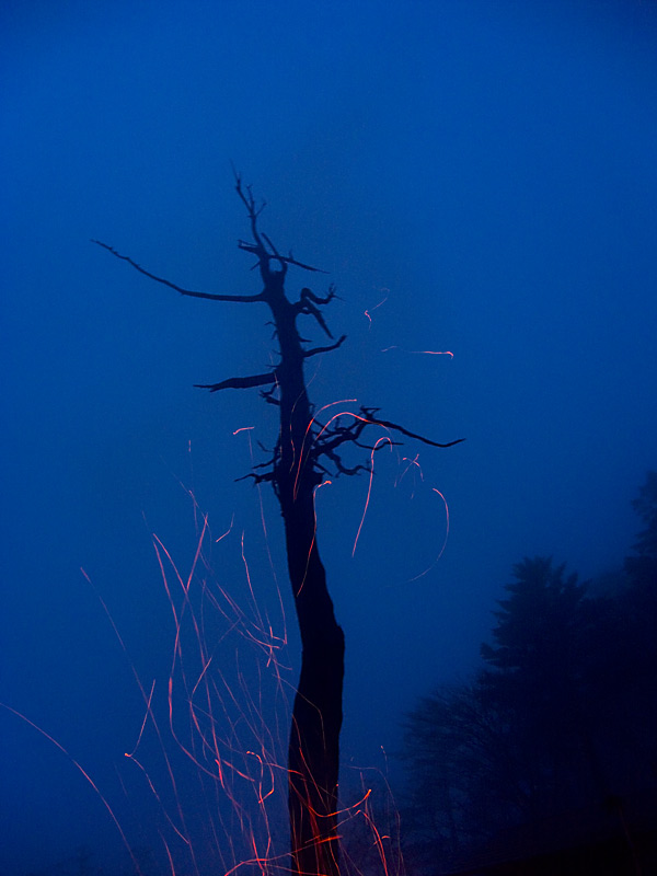 f:id:banriman:20070504155104j:image