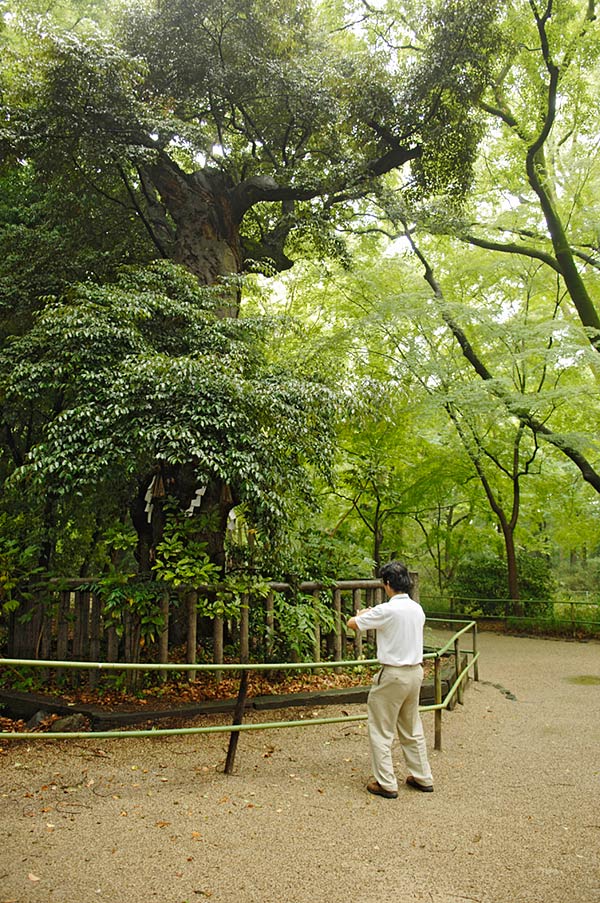 f:id:banriman:20080612215947j:image