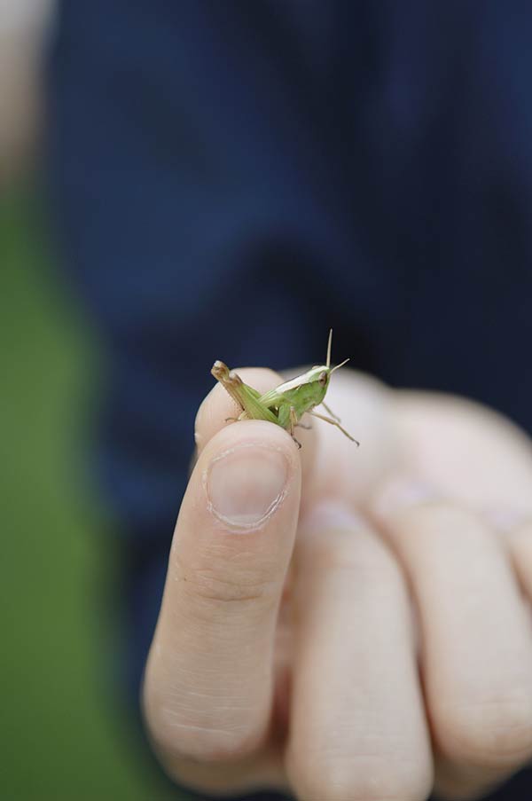 f:id:banriman:20080717222240j:image