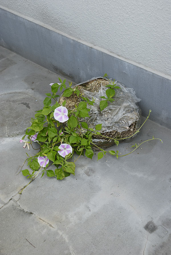 f:id:banriman:20090803012620j:image