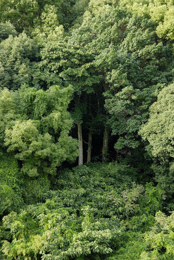 f:id:banriman:20090813201933j:image