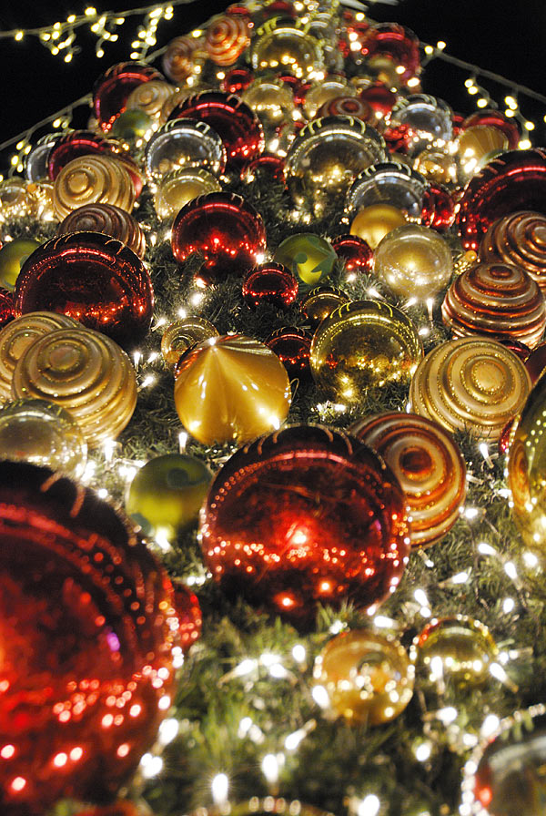 f:id:banriman:20091214202556j:image