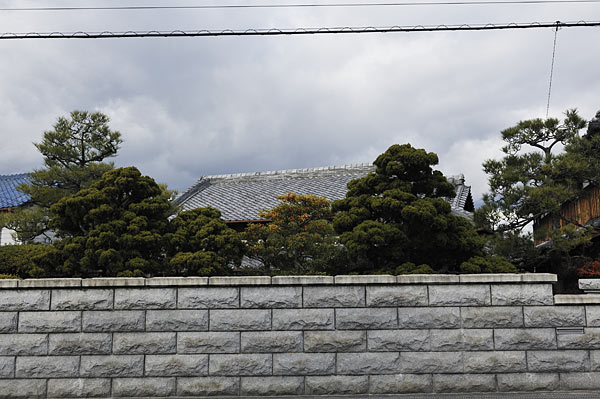 f:id:banriman:20100108175816j:image