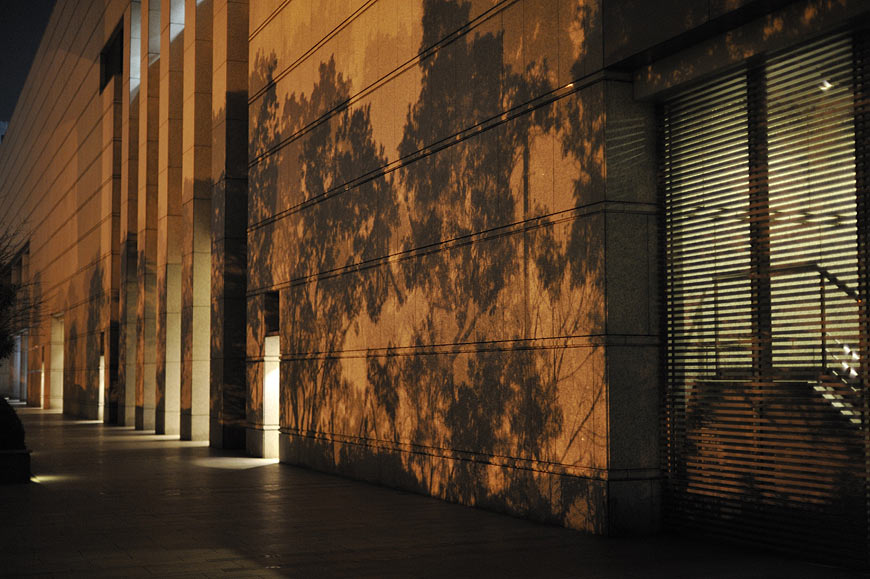 f:id:banriman:20100209195206j:image