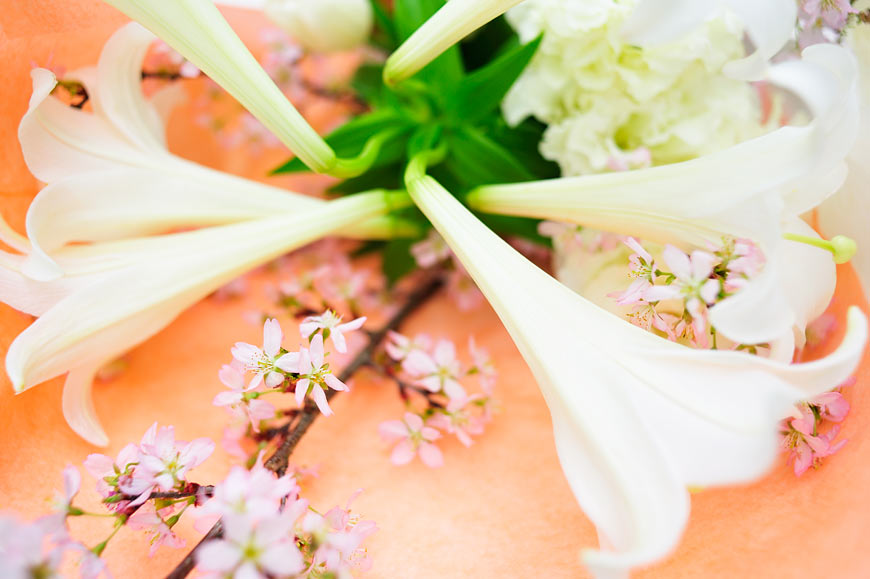 f:id:banriman:20100405215312j:image