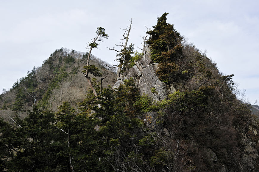 f:id:banriman:20100504221755j:image
