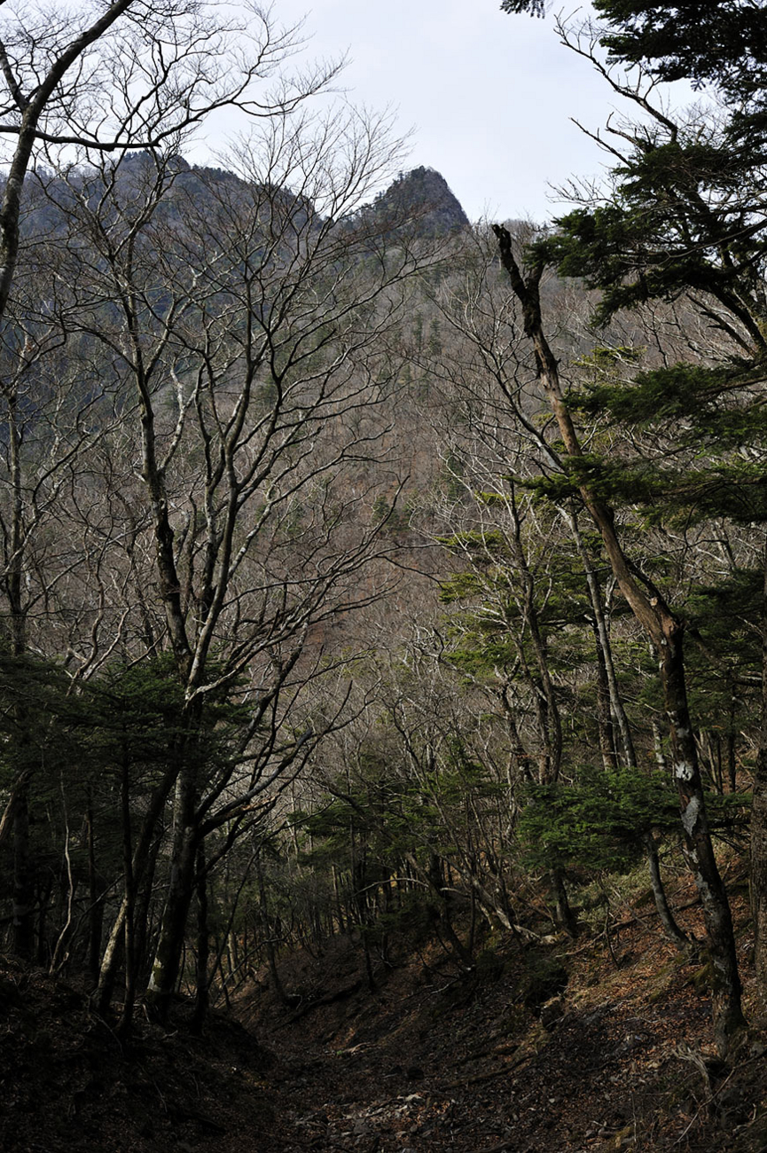 f:id:banriman:20100504221757j:image