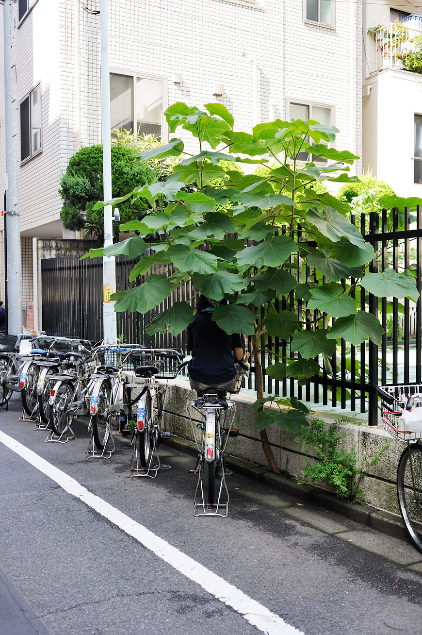 f:id:banriman:20100730220156j:image