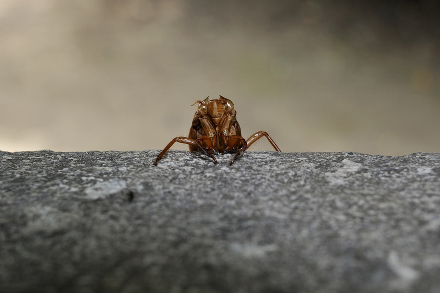 f:id:banriman:20100815214201j:image