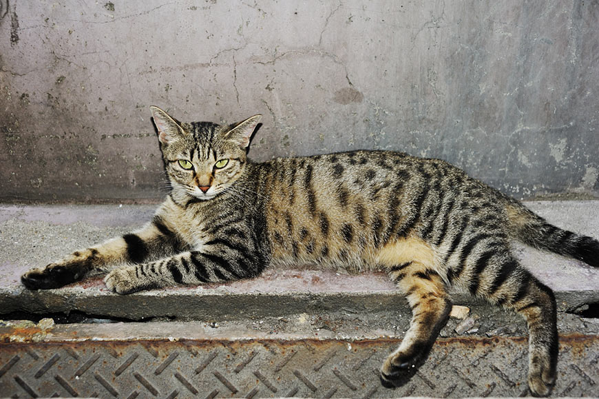 f:id:banriman:20100822204726j:image