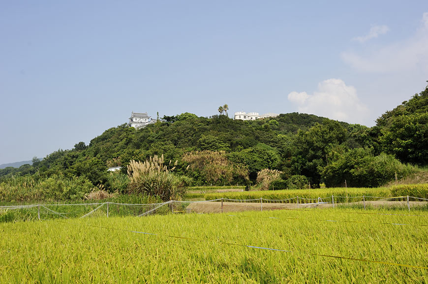 f:id:banriman:20100824101536j:image