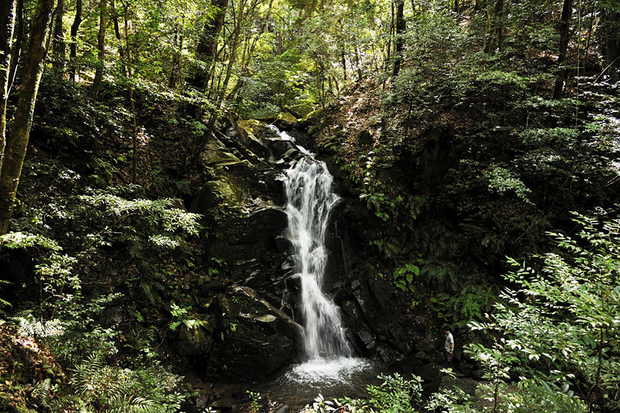 f:id:banriman:20101006212006j:image