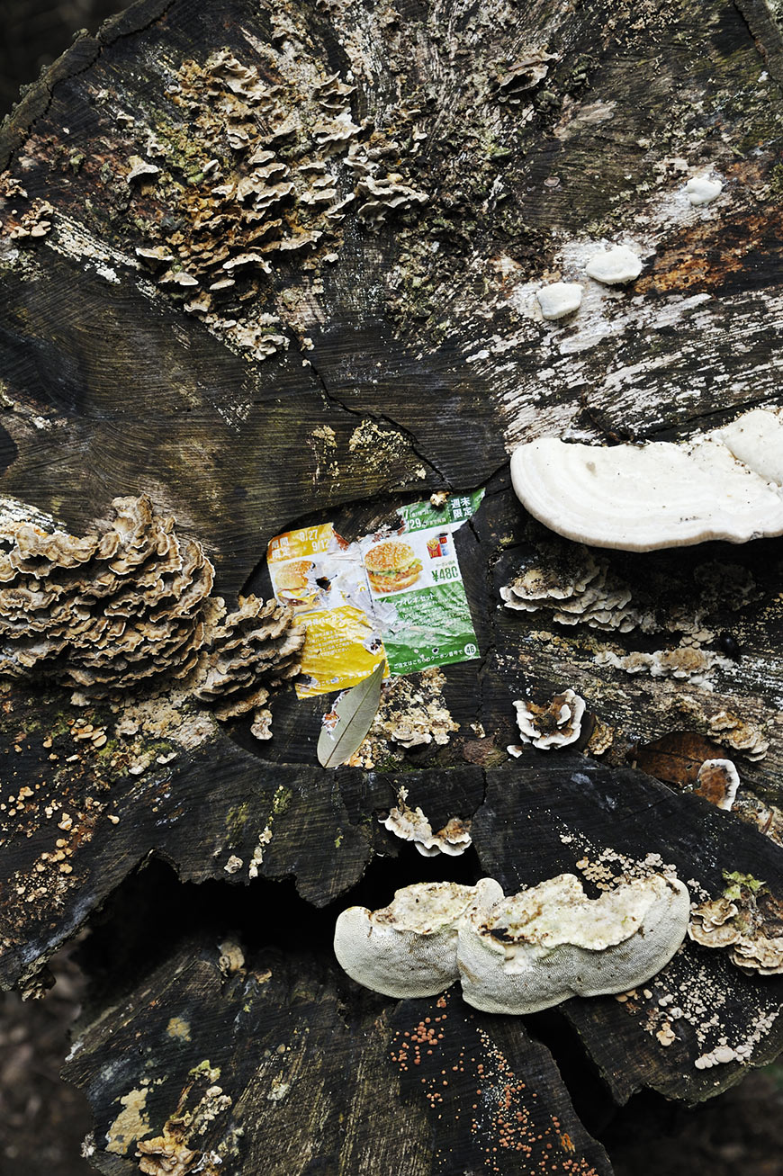 f:id:banriman:20101006212007j:image