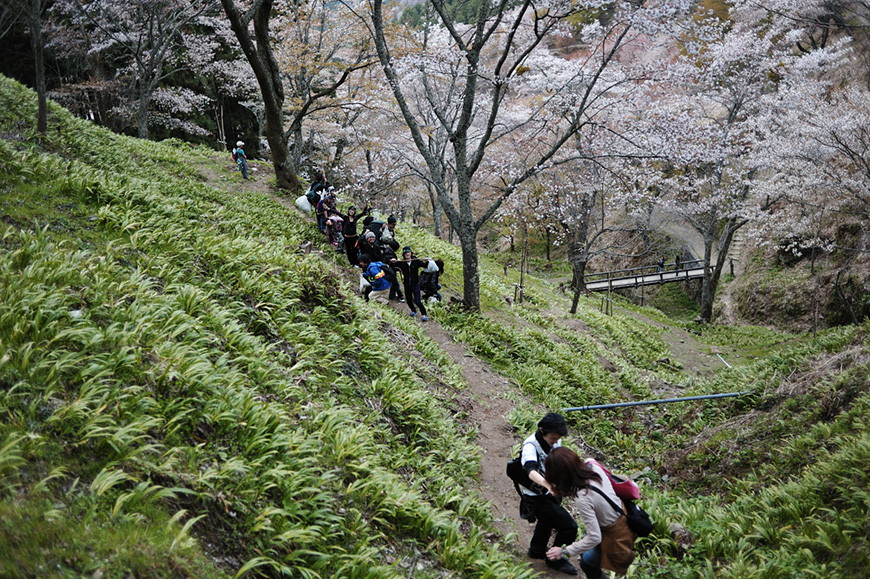 f:id:banriman:20110418135904j:image